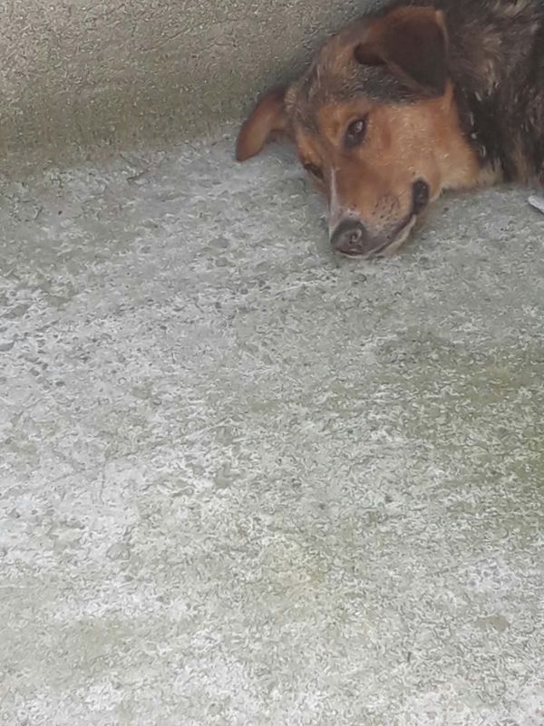 Clyde, Foto 7